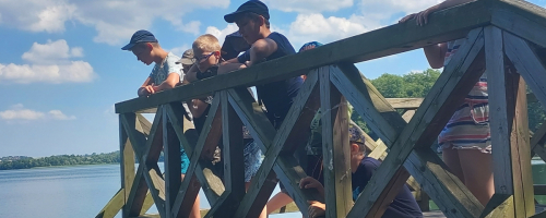 1 dzień zajęć profilaktycznych